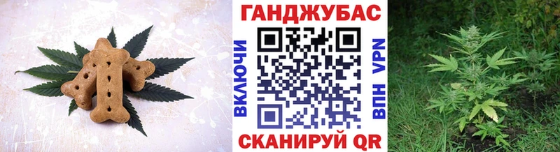 Cannafood марихуана  гидра сайт  Шали 