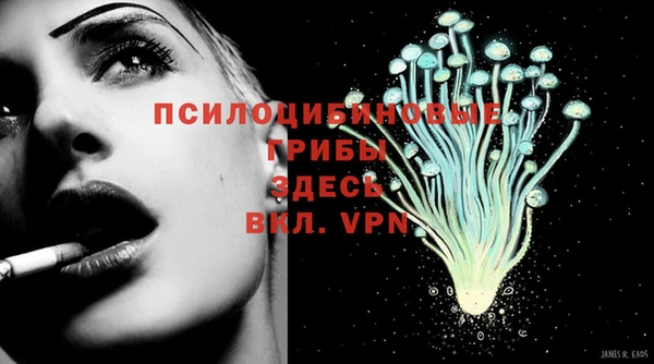 винт Белокуриха